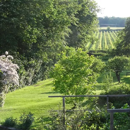 Apartment Bioweingut Hauerhof 99 -apartment 1 *