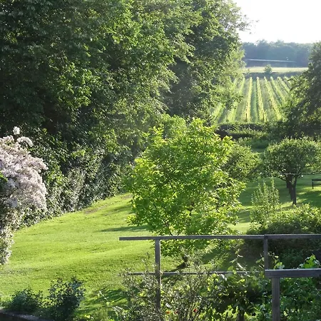 Bioweingut Hauerhof 99 -apartment 1