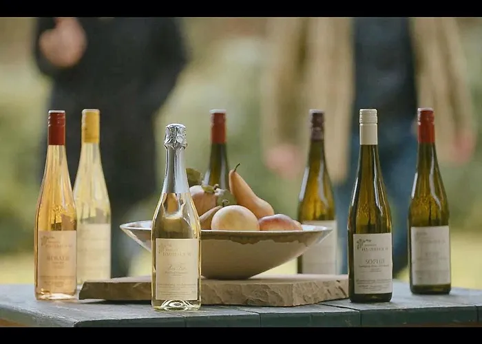 Bioweingut Hauerhof 99 -apartment 1 Appartement Klosterneuburg