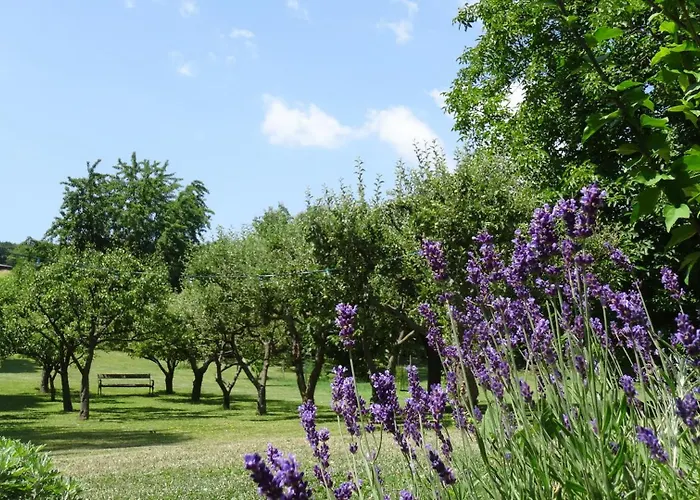 Bioweingut Hauerhof 99 -apartment 1 * Klosterneuburg