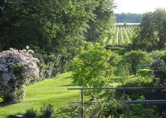 Appartement Bioweingut Hauerhof 99 -apartment 1 *