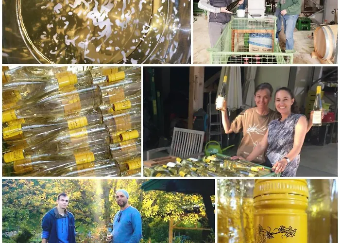 Bioweingut Hauerhof 99 -apartment 1 Appartement